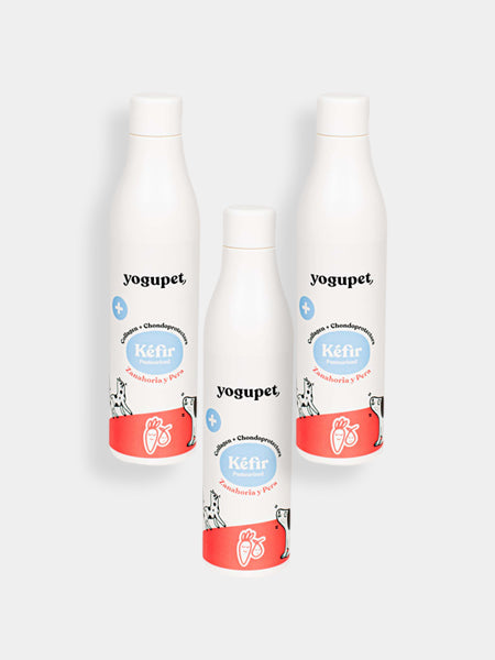 Kéfir pour chien et chat