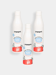 Lot de 3 bouteilles (économique)
