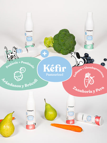 Kéfir pour chien et chat