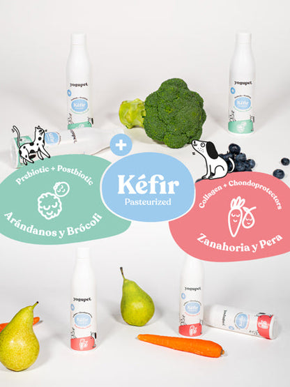 Kéfir pour chien et chat