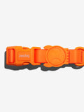 Collier en néoprène pour chien