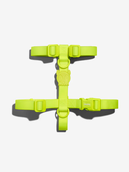 Harnais pour chien en néoprène - Neopro Lime - Zee.Dog