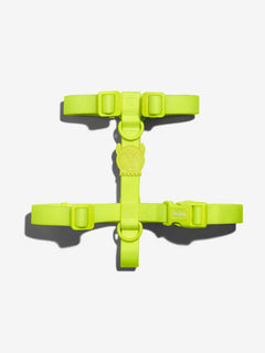 S (32 - 52 cm)