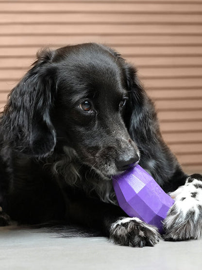 Jouet d'occupation pour chien - Super Veggiez Aubergine 🍆 - Zee.dog