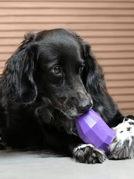 Jouet d'occupation pour chien - Super Veggiez Aubergine 🍆 - Zee.dog