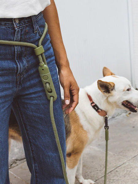Laisse pour chien réglable et mains libres - Army Green - Zee.Dog