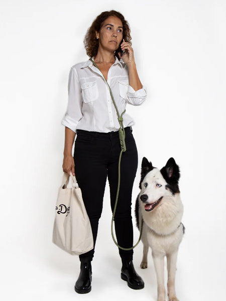 Laisse pour chien réglable et mains libres