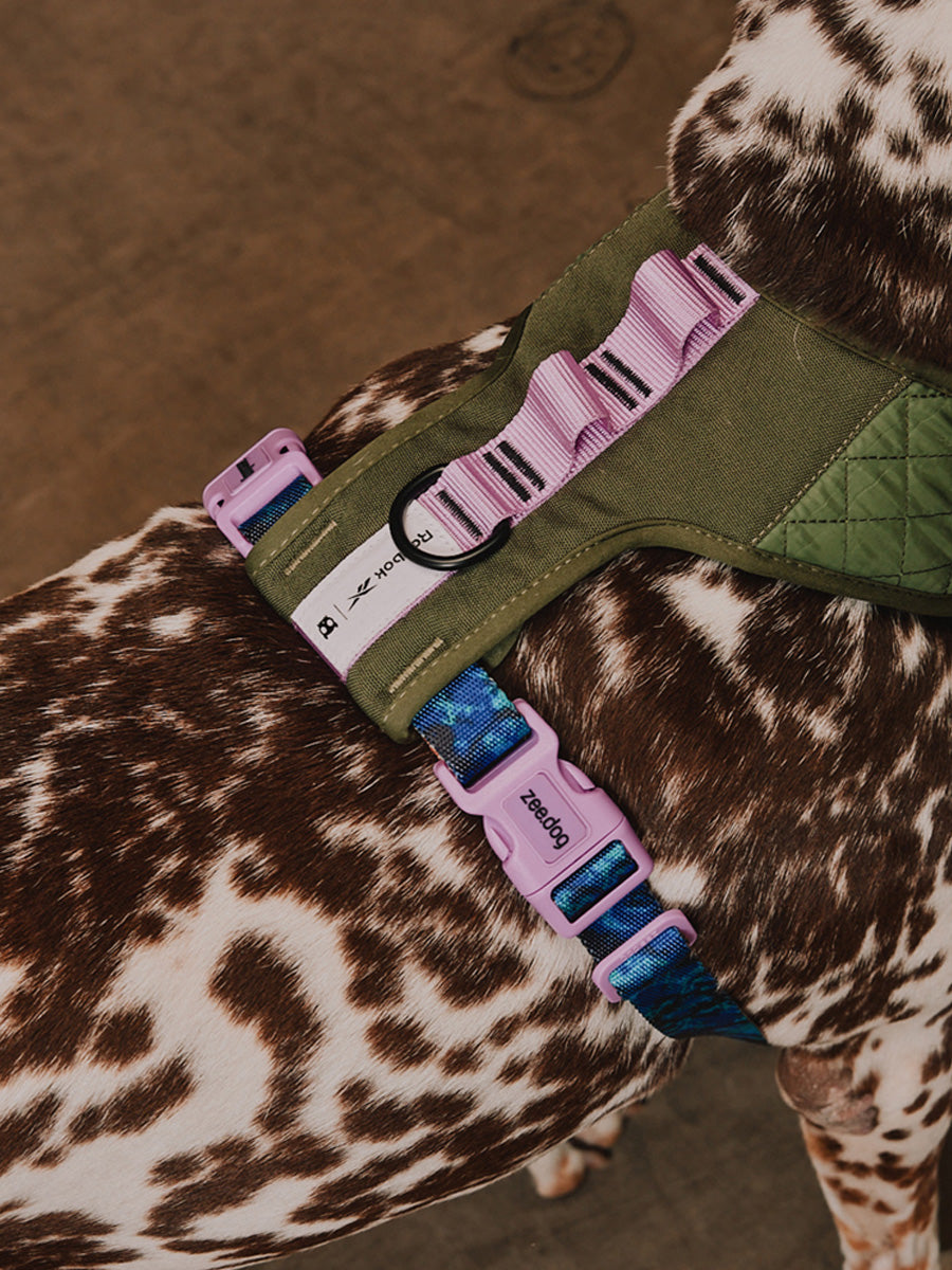 Harnais pour chien en Y - Trekk - Reebok x Zee.dog