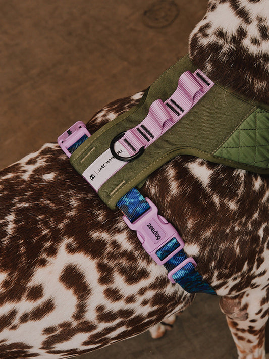 Harnais pour chien en Y - Trekk - Reebok x Zee.dog