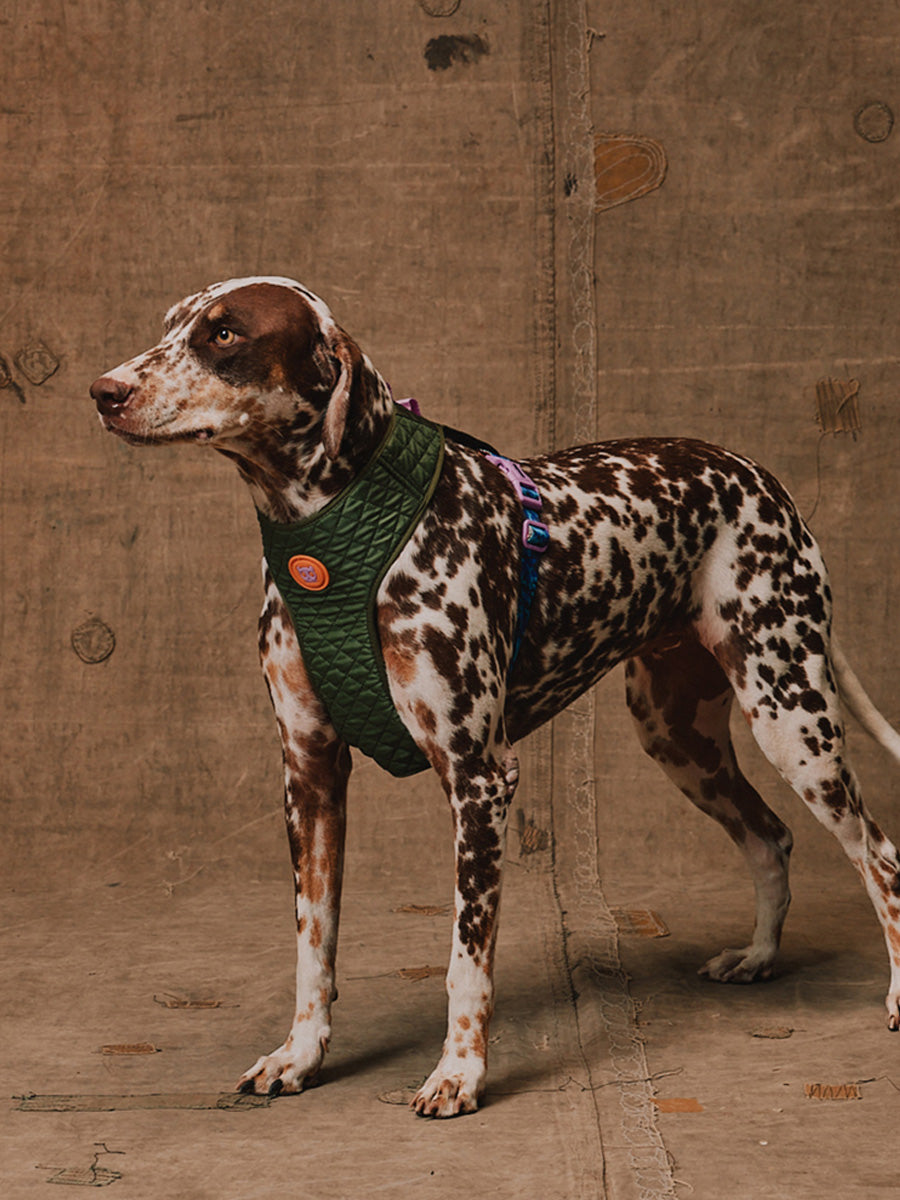 Harnais pour chien en Y - Trekk - Reebok x Zee.dog