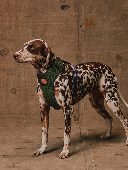 Harnais pour chien en Y - Trekk - Reebok x Zee.dog