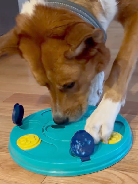 Jouet d'occupation pour chien - Puzzler - ZippyPaws