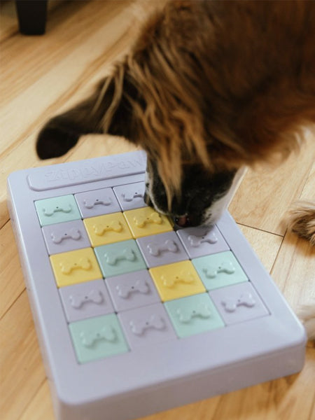 Jouet d'occupation et de réflexion pour chien