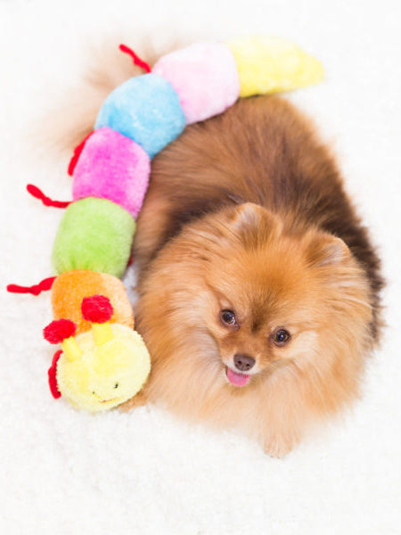 Peluche pour chien - Milles Pattes 7 squeakers - Zippy Paws