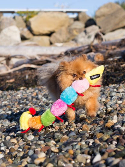 Peluche pour chien - Milles Pattes 7 squeakers - Zippy Paws