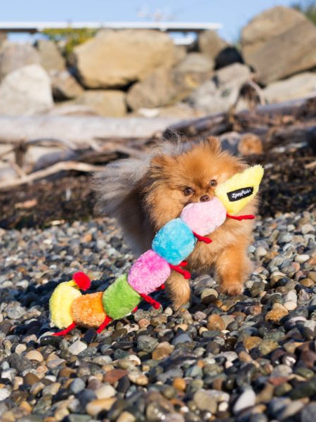 Peluche pour chien - Milles Pattes 7 squeakers - Zippy Paws