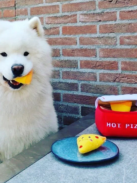 Jouet d'occupation pour chien original - Boîte à Pizza 🍕 - ZippyPaws