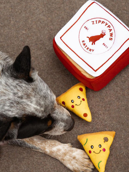 Jouet d'occupation pour chien