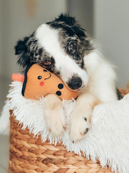 Peluche originale pour chien - Bubble Tea - Zippy Paws