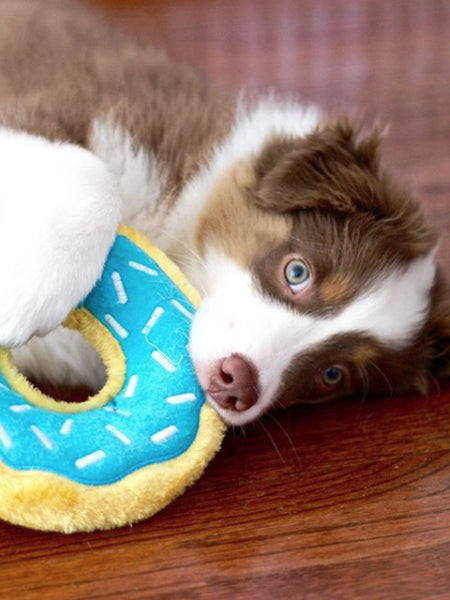 Peluche pour chien