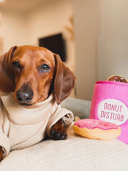 Jouet d'occupation pour chien