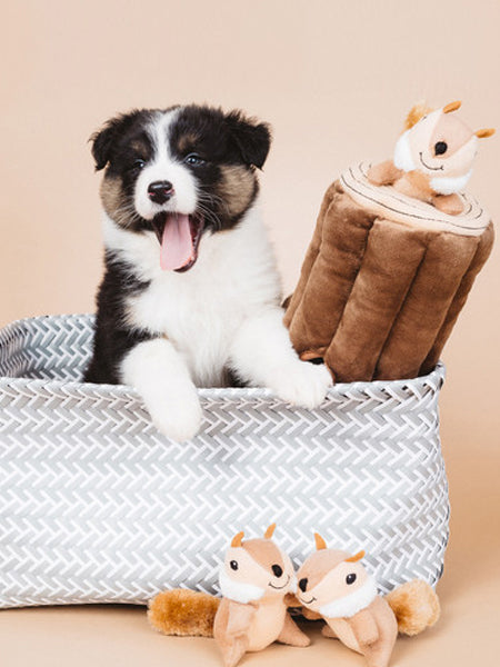 Jouet d'occupation pour chien original - Bûche Ecureuils 🐿️ - ZippyPaws