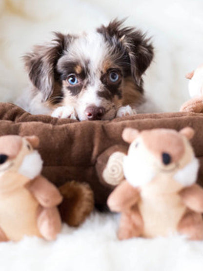 Jouet d'occupation pour chien original - Bûche Ecureuils 🐿️ - ZippyPaws
