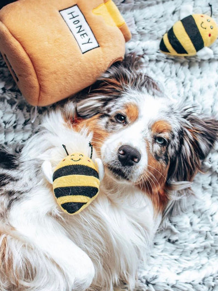 Jouet d'occupation pour chien original - Pot de miel 🍯🐝 - ZippyPaws