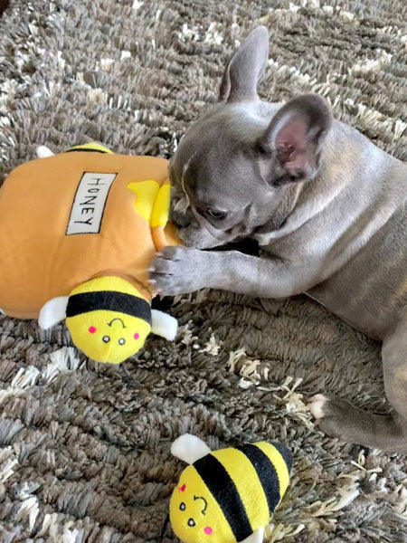 Jouet d'occupation pour chien original - Pot de miel 🍯🐝 - ZippyPaws