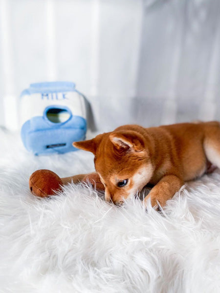 Jouet d'occupation pour chien original - Milk et Cookies - ZippyPaws