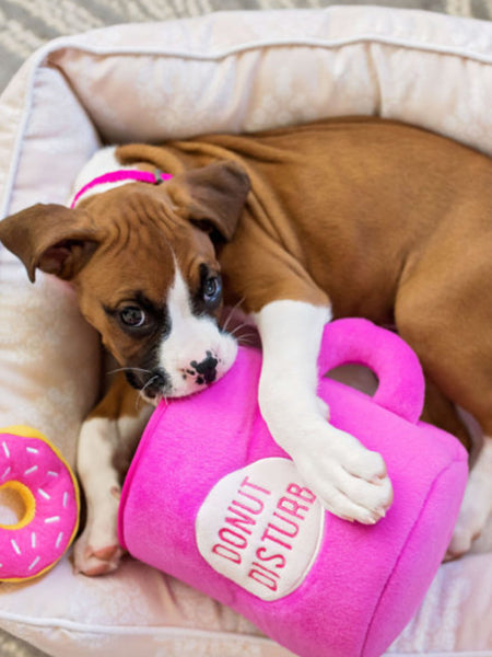 Jouet d'occupation pour chien