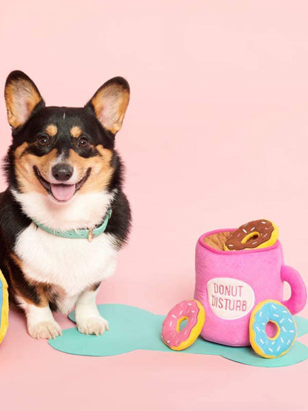 Jouet d'occupation pour chien