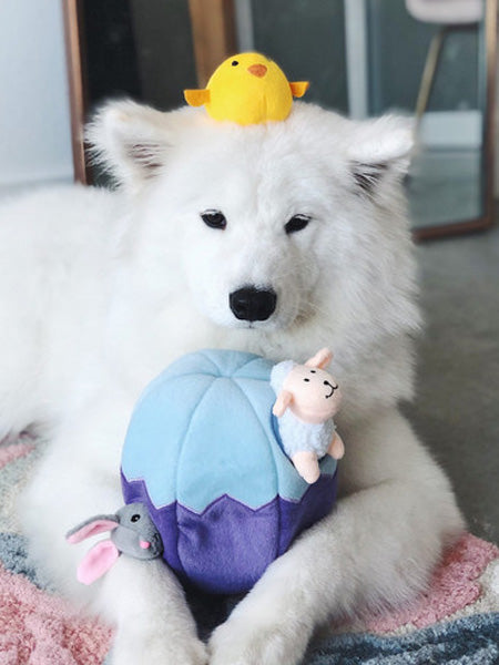 Jouet d'occupation pour chien original - Oeuf de Paques 🐣 - ZippyPaws