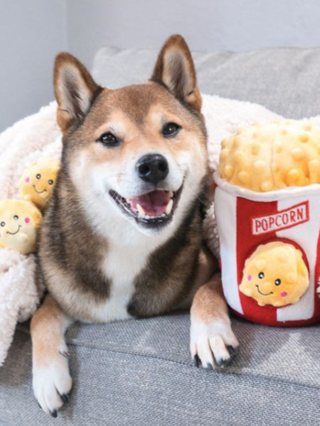 Jouet d'occupation pour chien original - Popcorn 🍿 - ZippyPaws