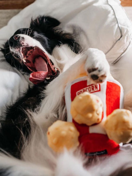 Jouet d'occupation pour chien original - Popcorn 🍿 - ZippyPaws