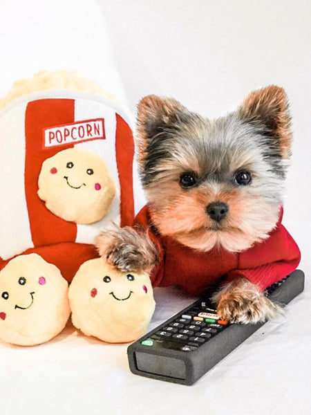 Jouet d'occupation pour chien original - Popcorn 🍿 - ZippyPaws