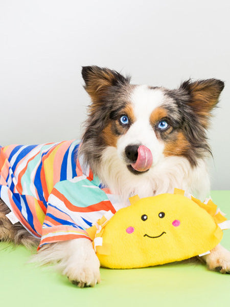 Peluche originale pour chien - 🌮 Tacos Nomnomz - Zippy Paws